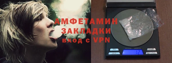 ПСИЛОЦИБИНОВЫЕ ГРИБЫ Сясьстрой