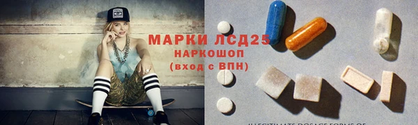 индика Баксан