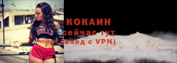 шишки Новокубанск