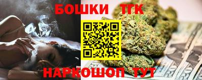 мдпв Камышлов
