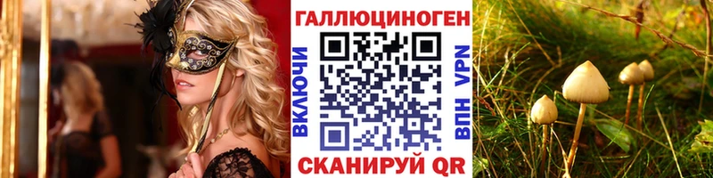 где можно купить   Рославль  Галлюциногенные грибы Cubensis 