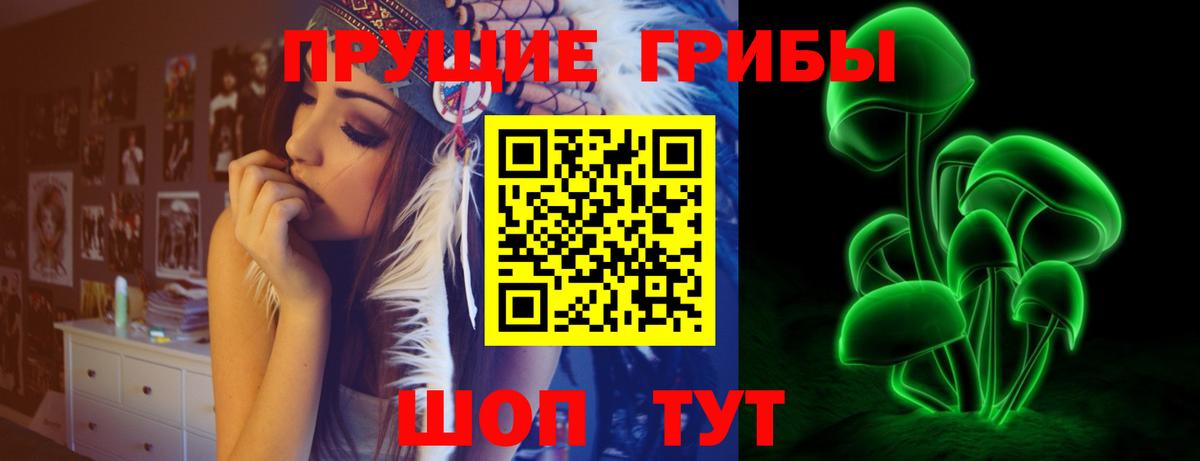 Галлюциногенные грибы Psilocybe Рославль